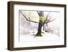 Ashes of Time-Viviane Fedieu Daniel-Framed Photographic Print