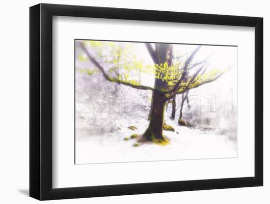 Ashes of Time-Viviane Fedieu Daniel-Framed Photographic Print