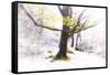 Ashes of Time-Viviane Fedieu Daniel-Framed Stretched Canvas
