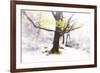 Ashes of Time-Viviane Fedieu Daniel-Framed Photographic Print