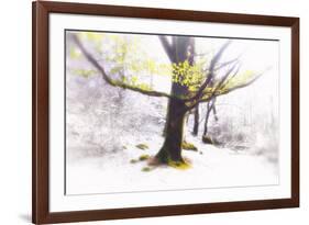 Ashes of Time-Viviane Fedieu Daniel-Framed Photographic Print