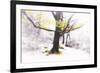 Ashes of Time-Viviane Fedieu Daniel-Framed Photographic Print