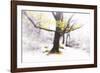 Ashes of Time-Viviane Fedieu Daniel-Framed Photographic Print