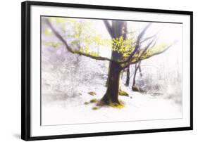 Ashes of Time-Viviane Fedieu Daniel-Framed Photographic Print