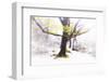 Ashes of Time-Viviane Fedieu Daniel-Framed Premium Photographic Print