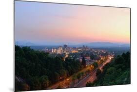 Asheville, North Carolina Skyline Nestled in the Blue Ridge Mountains.-SeanPavonePhoto-Mounted Photographic Print