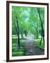 Asheville Park-Herb Dickinson-Framed Photographic Print