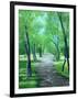 Asheville Park-Herb Dickinson-Framed Photographic Print