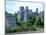 Ashford Castle, Cong Co Gaslway, Ireland-Marilyn Parver-Mounted Photographic Print