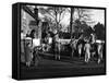 Ashford Valley Hunt Meet-null-Framed Stretched Canvas