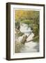 Ashland Creek Canyon, Ashland, Oregon-null-Framed Art Print