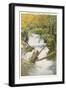 Ashland Creek Canyon, Ashland, Oregon-null-Framed Art Print