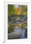 Ashland Creek in Fall-Donald Paulson-Framed Giclee Print