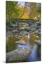 Ashland Creek in Fall-Donald Paulson-Mounted Giclee Print