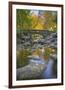Ashland Creek in Fall-Donald Paulson-Framed Giclee Print