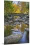 Ashland Creek in Fall-Donald Paulson-Mounted Giclee Print