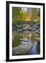 Ashland Creek in Fall-Donald Paulson-Framed Giclee Print