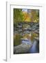 Ashland Creek in Fall-Donald Paulson-Framed Giclee Print