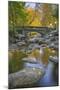 Ashland Creek in Fall-Donald Paulson-Mounted Giclee Print