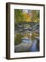 Ashland Creek in Fall-Donald Paulson-Framed Giclee Print