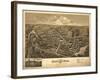 Ashland, Massachusetts - Panoramic Map-Lantern Press-Framed Art Print