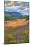 Ashland, Oregon - Field and Flowers-Lantern Press-Mounted Art Print