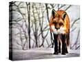 Stretched Canvas