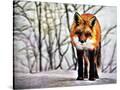 Stretched Canvas