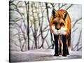 Stretched Canvas