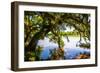 Ashley River Bank III-Alan Hausenflock-Framed Photo