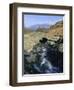 Ashness Bridge, Borrowdale, Lake District National Park, Cumbria, England, UK-Neale Clarke-Framed Photographic Print