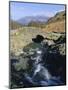 Ashness Bridge, Borrowdale, Lake District National Park, Cumbria, England, UK-Neale Clarke-Mounted Photographic Print