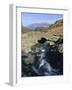 Ashness Bridge, Borrowdale, Lake District National Park, Cumbria, England, UK-Neale Clarke-Framed Photographic Print