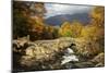 Ashness Bridge in Autumn Looking Towards Derwent-null-Mounted Photographic Print