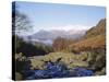Ashness Bridge, Skiddaw in the Background, Lake District National Park, Cumbria, England, UK-Roy Rainford-Stretched Canvas
