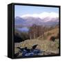 Ashness Bridge, Skiddaw in the Background, Lake District National Park, Cumbria, England, UK-Roy Rainford-Framed Stretched Canvas