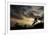 Ashton Court, Bristol, England, United Kingdom, Europe-Bill Ward-Framed Photographic Print