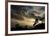 Ashton Court, Bristol, England, United Kingdom, Europe-Bill Ward-Framed Photographic Print