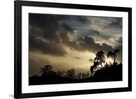 Ashton Court, Bristol, England, United Kingdom, Europe-Bill Ward-Framed Photographic Print