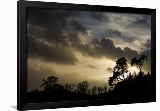 Ashton Court, Bristol, England, United Kingdom, Europe-Bill Ward-Framed Photographic Print