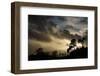 Ashton Court, Bristol, England, United Kingdom, Europe-Bill Ward-Framed Photographic Print