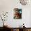 Ashwagandha Berries on Branch-Ottmar Diez-Photographic Print displayed on a wall