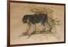 Ashy-Black Macaque (Macacus Ocreatus), 1869-Joseph Wolf-Framed Giclee Print