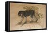 Ashy-Black Macaque (Macacus Ocreatus), 1869-Joseph Wolf-Framed Stretched Canvas