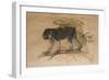 Ashy-Black Macaque (Macacus Ocreatus), 1869-Joseph Wolf-Framed Giclee Print