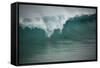 Asia, Australia Tasmania Friendly Beach Breakers-John Ford-Framed Stretched Canvas