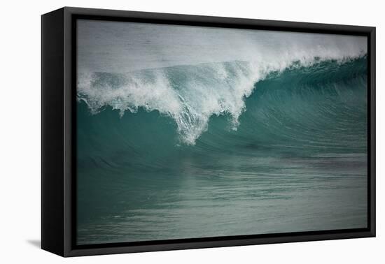 Asia, Australia Tasmania Friendly Beach Breakers-John Ford-Framed Stretched Canvas