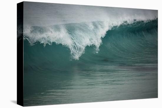 Asia, Australia Tasmania Friendly Beach Breakers-John Ford-Stretched Canvas