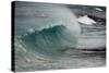 Asia, Australia Tasmania Friendly Beach Breakers-John Ford-Stretched Canvas