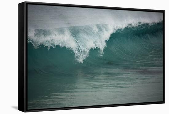 Asia, Australia Tasmania Friendly Beach Breakers-John Ford-Framed Stretched Canvas